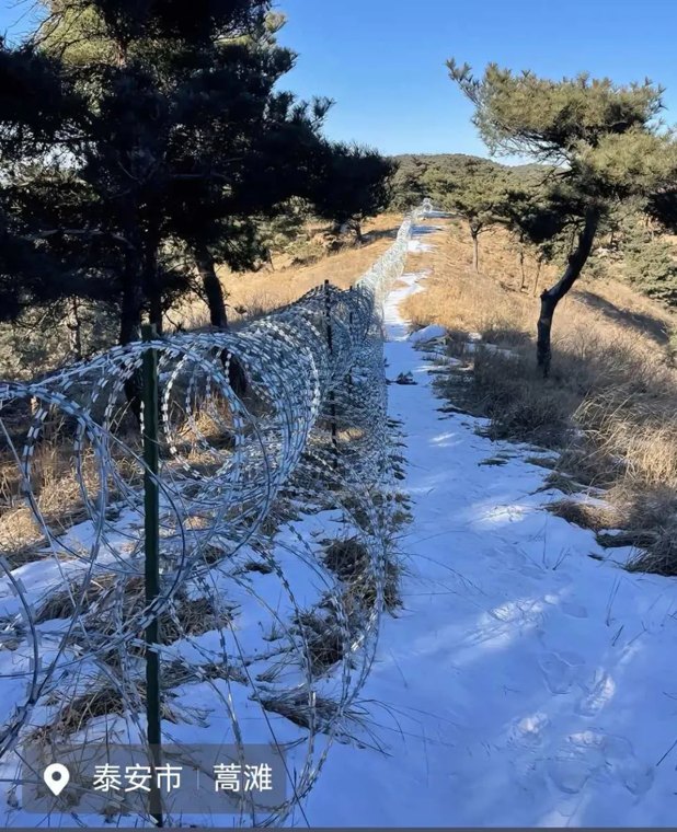 泰山景区刀片式隔离网将被拆除或替代